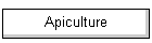 Apiculture